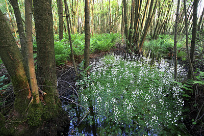 BUITEN BEELD Foto: 52675