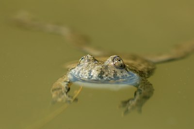 BUITEN BEELD Foto: 52690