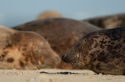 BUITEN BEELD Foto: 52710