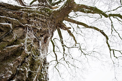 BUITEN BEELD Foto: 52739