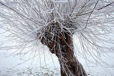 BUITEN BEELD Foto: 52748