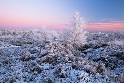 BUITEN BEELD Foto: 52750