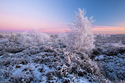 BUITEN BEELD Foto: 52751