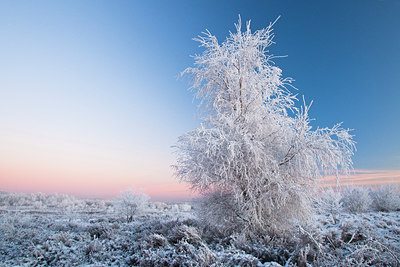 BUITEN BEELD Foto: 52752