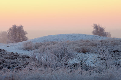 BUITEN BEELD Foto: 52753