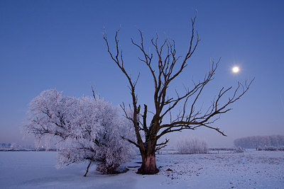 BUITEN BEELD Foto: 52763