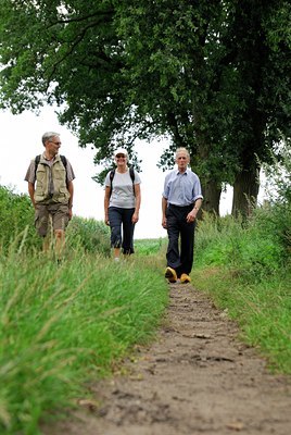 BUITEN BEELD Foto: 52773