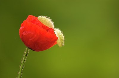 BUITEN BEELD Foto: 52804