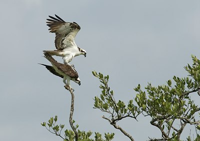BUITEN BEELD Foto: 52865