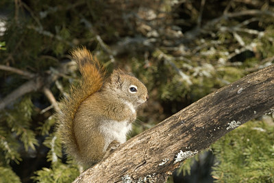 BUITEN BEELD Foto: 52924