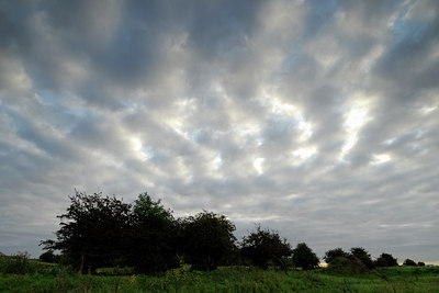 BUITEN BEELD Foto: 52927