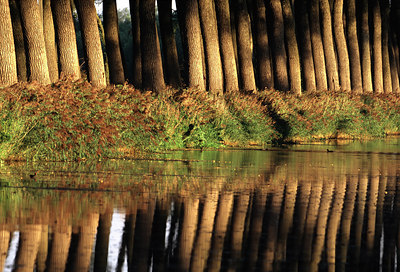 BUITEN BEELD Foto: 53027