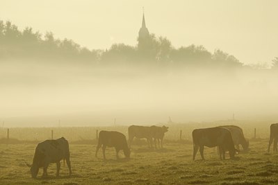 BUITEN BEELD Foto: 53036