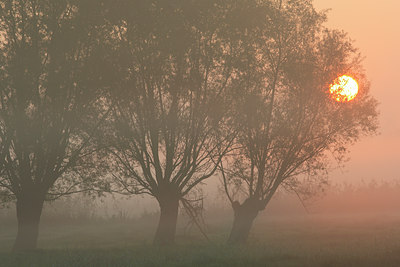 BUITEN BEELD Foto: 53047
