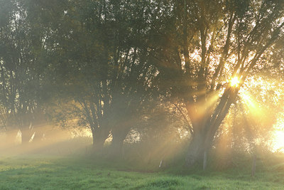 BUITEN BEELD Foto: 53052