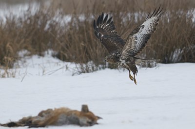 BUITEN BEELD Foto: 53087