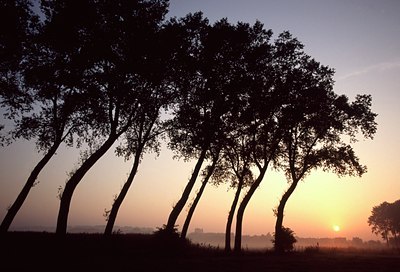 BUITEN BEELD Foto: 53117