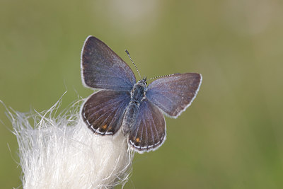 BUITEN BEELD Foto: 53191