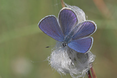 BUITEN BEELD Foto: 53193