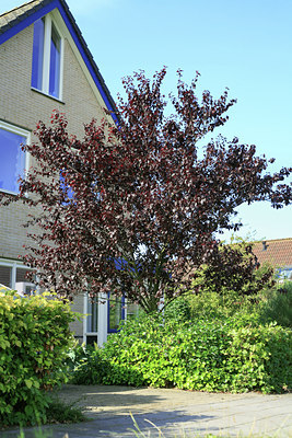 BUITEN BEELD Foto: 53197