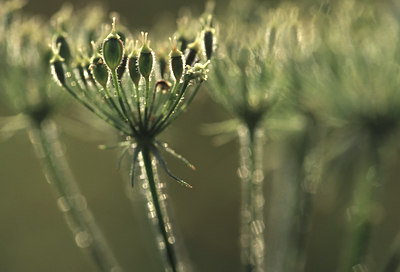 BUITEN BEELD Foto: 53209
