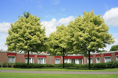 BUITEN BEELD Foto: 53224