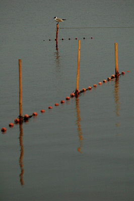 BUITEN BEELD Foto: 53231