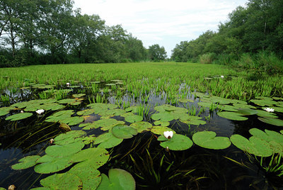 BUITEN BEELD Foto: 53252