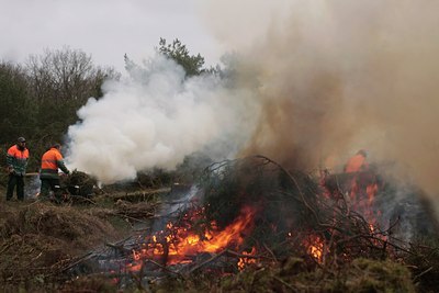 BUITEN BEELD Foto: 53277