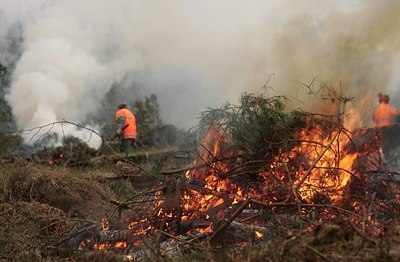BUITEN BEELD Foto: 53281