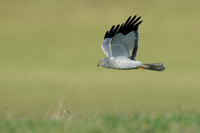 BUITEN BEELD Foto: 53295