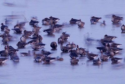 BUITEN BEELD Foto: 53327