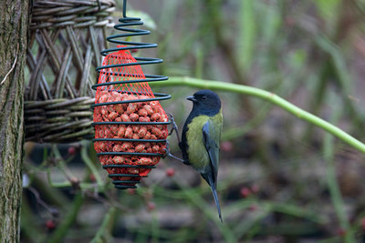 BUITEN BEELD Foto: 53400