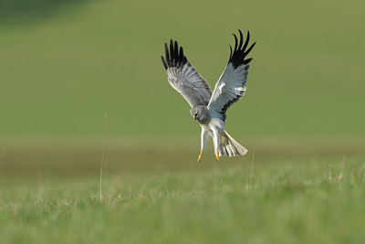 BUITEN BEELD Foto: 53445