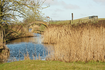 BUITEN BEELD Foto: 53450