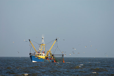 BUITEN BEELD Foto: 53459