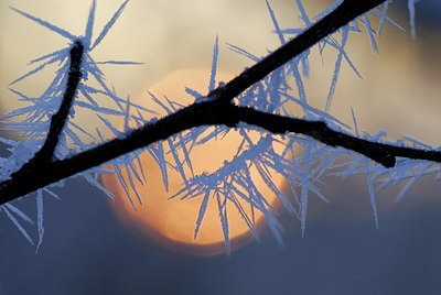 BUITEN BEELD Foto: 53463