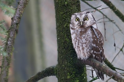 BUITEN BEELD Foto: 53479