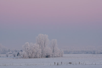 BUITEN BEELD Foto: 53506