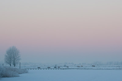 BUITEN BEELD Foto: 53520