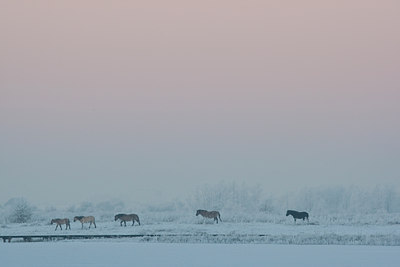 BUITEN BEELD Foto: 53521