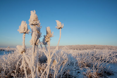 BUITEN BEELD Foto: 53540