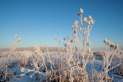 BUITEN BEELD Foto: 53541