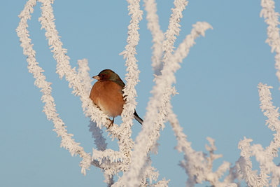 BUITEN BEELD Foto: 53544