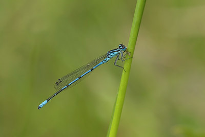 BUITEN BEELD Foto: 53548