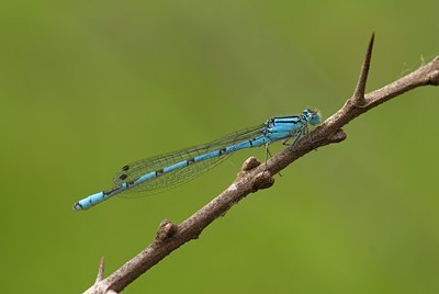 BUITEN BEELD Foto: 53570