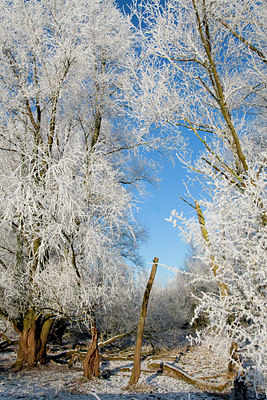 BUITEN BEELD Foto: 53586