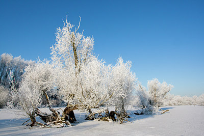 BUITEN BEELD Foto: 53589