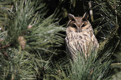 BUITEN BEELD Foto: 53594