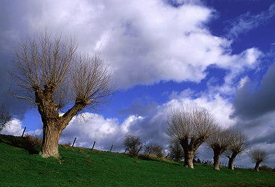 BUITEN BEELD Foto: 53634